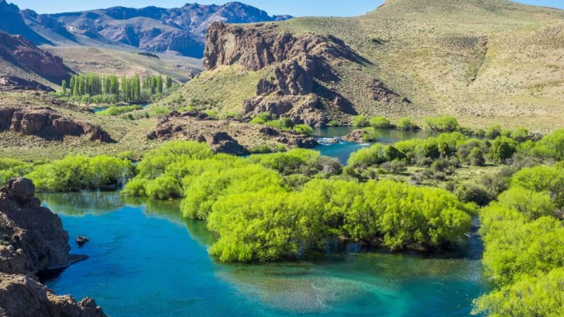 Blog Rafting en el Río Limay Una Aventura en la Patagonia - Imagen 7